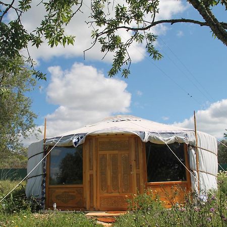 Tiny House Eco Resort Estevais Dış mekan fotoğraf