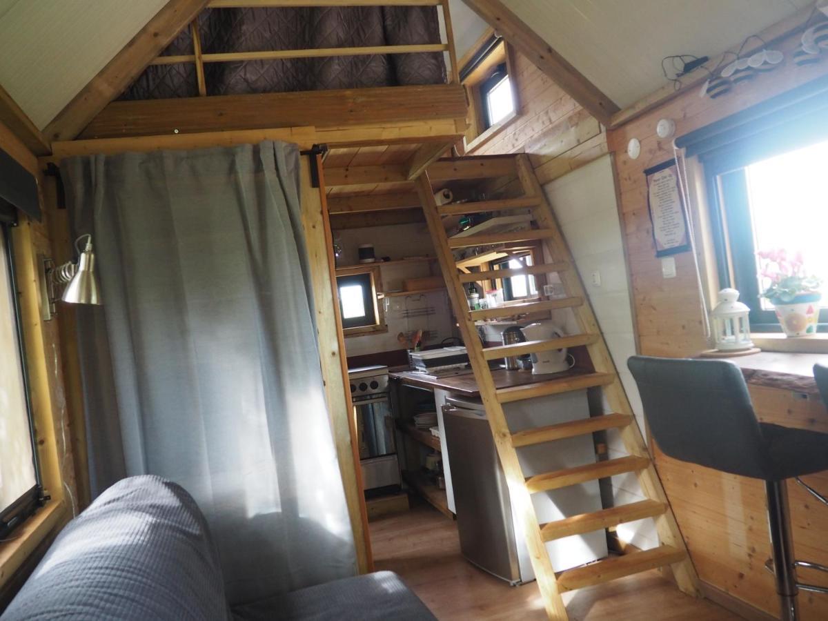 Tiny House Eco Resort Estevais Dış mekan fotoğraf